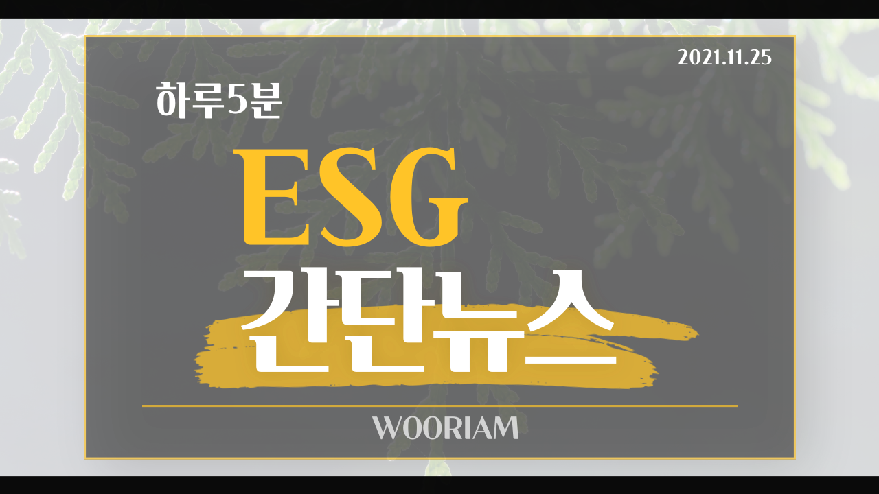 유튜브